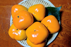 たねなし 柿の通販｜食べチョク｜産地直送(産直)お取り寄せ通販