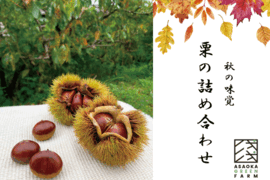 【数量限定】秋の味覚　たっぷり栗の詰め合わせ    1kg×2袋
