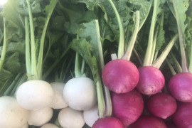 白・赤かぶ　各1.5ｋｇ　セット　有機ＪＡＳ