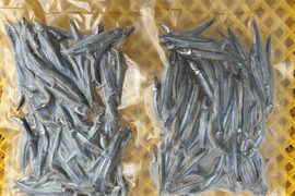 キビナゴ 冷凍200ｇ