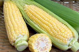 【6月上旬発送】毎日食べたくなる甘さ｜プレミアム味来 約3.5kg