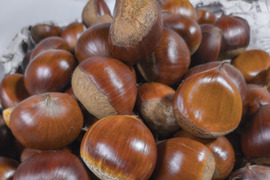 ぽろたんの通販｜栗｜食べチョク｜産地直送(産直)お取り寄せ通販