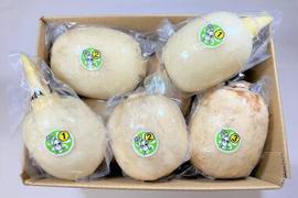 茨城県産愛情たっぷり！！うめぇ～レンコン1～3節お試しセット　2kg真空　☆彡