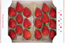 【贈答用】あまおう 800g 甘くて濃い 大粒いちご ゆりかごパック