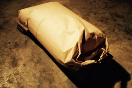 大豆<シュウレイ>　農薬/化学肥料不使用　3kg