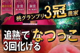 🎊全国桃グランプリ3冠小野桃園ブランド🎊ガツンとくる甘さを求めるならこれ一択なつっこ🍑一流レストラン御用達1kgお試し特価ももキャンペーン【朝どれ】グランプリ受賞の実力糖度🍑【夏ギフト】8月上旬