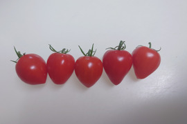 恋するトマト入り🍅お野菜セット【祝５周年】‼️
①夏バテ対策😋つるむらさき②♥️の形！？恋トマト🍅③苦くないピーマン🫑ライムホルン④ビーツ♥️🌱⑤まだまだ旬！ししとう🌴