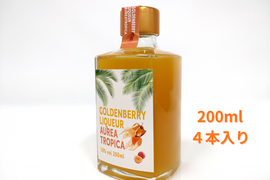 新商品✨陽光の輝き　自然派リキュール🍹ゴールデンベリーリキュール「AUREA TROPICA」200ml×４本入り