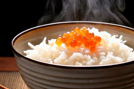 予約開始！山形県産コシヒカリ（10kg：子1大人2／1日2食約1ヶ月分） 令和7年産：精米