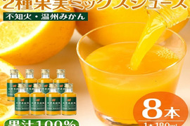 【夏ギフト】贅沢飲み切りタイプ！2種果実ミックスジュース8本セット