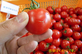 【訳あり】島根県江津市産　 笑ちゃんトマト（5ｋｇ）