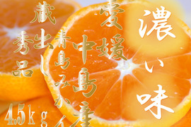 濃厚完熟　蔵出し　青島みかん　秀品・4.5ｋｇ