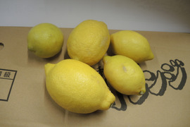 レモン規格外2kg特別栽培認証
