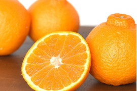 【ご予約受付中】不知火(デコみかん)【家庭用(訳あり)】2.5kg 322-2h