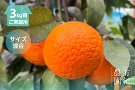 さっぱり濃甘🍊南津海【見た目訳アリ・サイズ混合・3kg箱】