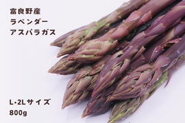 【希少】富良野産　ラベンダーアスパラ（L・2Lサイズ 800g）
