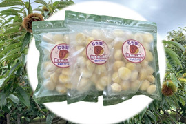 【先行予約】ほっこり甘さ凝縮！『冷凍むき栗』山鹿和栗 （250ｇ×3パック）７５０ｇ箱入り