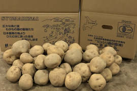 有機栽培北あかり１０ｋｇ+有機玉ねぎ８ｋｇ
