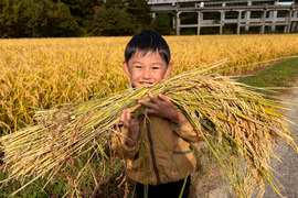 【青森・外ヶ浜ファーム直産】新米 はれわたり 10kg《大大大好評！！》地産地消・低農薬米