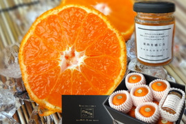 【夏ギフト】【お中元】薄皮で果汁たっぷり！冷やしてやみつき！「とろける甘さのハウスみかん約１ｋｇ」＆果皮不使用！「贅沢果肉たっぷりみかんの生ジャム120g1瓶」詰め合わせ　黒化粧箱　【商品番号80】