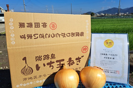 【食欲の秋ギフト＝日時指定OK】淡路島玉ねぎ5kg【野菜ソムリエサミット金賞🏆】