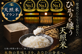 🍚星野リゾート御用達🍚二千年の伝統に裏打ちされた幻の天照ブランド米【お試し約2㎏】