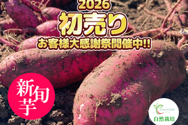 〇2026年 大感謝祭〇 ２ヶ月貯蔵 新旬芋🍠農薬不使用　紅はるか（5kg）【期間限定・特別価格】
