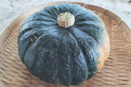 ブラックのジョー（約3kg 2-4玉 ）漆黒の栗カボチャ【冬ギフト】