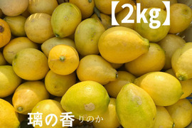 璃の香　訳なし！国産レモン　瀬戸内産　2㎏