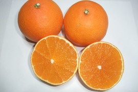 とろける・プル甘！ひめまる愛果まどんな（家庭用約３Kg）