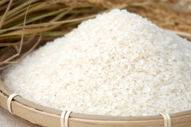 日本農業賞大賞米 噛めば噛むほど旨味がでてくる茨城県産コシヒカリ 白米【30kg】