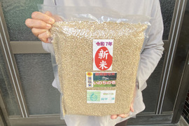 令和７年9月に刈り取りました新米☆☆いのちの壱(超大粒)☆酵素散布米いのちの壱 玄米2キロ精米無量