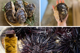 【6、7月限定】牡蠣とウニの詰合せ①（カキ中5個、ウニ1瓶）　※日付指定不可