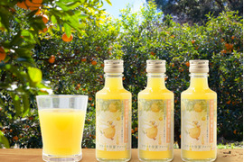 【数量限定】宇宙が喜ぶ甘夏100%ジュース 180ml×3本 　農薬 , 除草剤 , 化学肥料 不使用 , 愛情たっぷりで育てた甘夏のおいしさをぎゅっと搾りました！