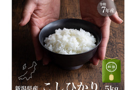 新潟県産コシヒカリ,和泉,5kg,令和7年新米,【受注後精米・農家直売】
