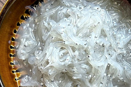 お刺身用★生しらす(冷凍)期間限定発売