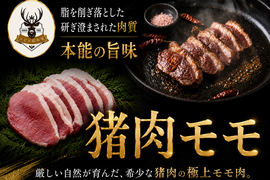 【我慢しないダイエット】ボディメイクに最適”猪モモ”噛むほど旨味溢れる🍖お得な大容量パッケージ約400g