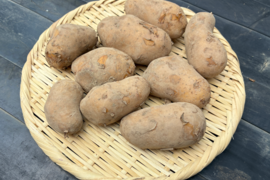 2箱限定【訳あり最終セール】煮崩れしにくい有名品種『メークイン』小粒 ジャガイモ (5kg)