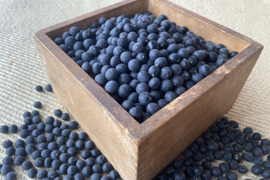 【新豆・即日発送】2025年産 丹波黒大豆「大粒L」お正月に間に合います！500g