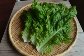 奥出雲産自然栽培サンチュ(300g)