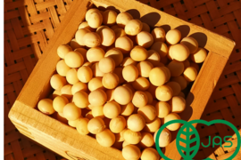 使いやすい1kg梱包 農薬不使用の有機大豆9kg  優しい味わい 北海道の大地で育った「とよまさり」　１２月１８日ころから発送予定