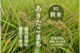 【新米】R5:あきたこまち 玄米27kg（農薬不使用のお米）