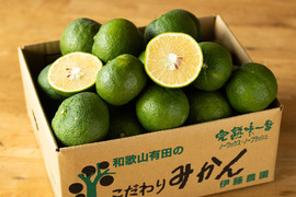 【福袋】贈答用（特選品）ジャバラ2.5kg 和歌山 355-1h