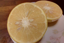 大好評！奄美大島の島はっさく☆完全農薬不使用栽培(八朔)○ご家庭用３キロ○プリプリでとってもジューシー！是非一度お試し下さい🍊