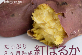 【訳あり品】べにはるか　5kg　さつまいも　貯蔵期間３カ月　熟成　規格外