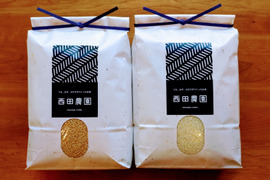 味比べ【 白米５ｋｇ& 玄米５ｋｇ】栽培期間中農薬不使用コシヒカリ✨米穀類🥇１位✨食べチョクAW2023　有機質肥料のみ使用🌱1年間🌱化学肥料・除草剤・動物性堆肥不使用【令和７年産】