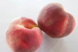 【訳あり】桃 ご家庭用 品種おまかせ約5kg【数量限定】