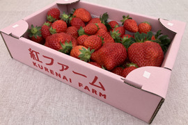 【規格外】たっぷり約2kg⭐︎食べ比べおまかせ3品種