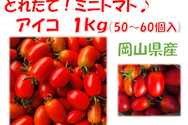 皮パリ食感！アイコ『岡山県産』１ｋｇ（概ね50～60個程度）