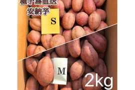 【絶品】種子島産 安納芋 S&M 混合2kg(箱別)